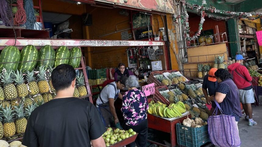 Central de Abastos de Querétaro garantiza abasto por varios años