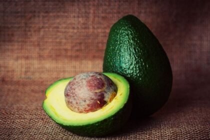 Aguacate de Michoacán reanudará exportaciones a EE UU tras acuerdo