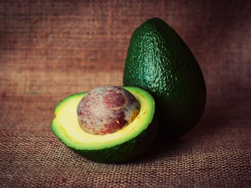 Aguacate de Michoacán reanudará exportaciones a EE UU tras acuerdo