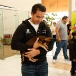 Querétaro crea Comisión de Bienestar Animal y dará chips gratis