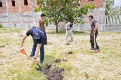Plantan 150 árboles nativos en jornada ambiental en Querétaro