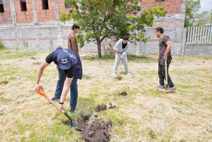 Plantan 150 árboles nativos en jornada ambiental en Querétaro