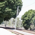 Tren México-Querétaro: Alcalde garantiza no habrá tala de árboles