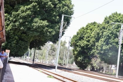 Tren México-Querétaro: Alcalde garantiza no habrá tala de árboles