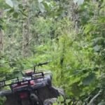 Fiscalía de Querétaro localiza a tres menores con Alerta AMBER